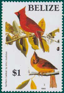 Belize (1985) SG # 824, Sc # 754, Northern Cardinal (Cardinalis cardinalis), Audubon Plate-395