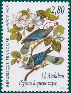 France (1995) SG # 3249, Sc # 2462,Band-tailed Pigeon (Columba fasciata)