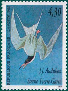 France (1995) SG # 3251, Sc # 2464,Common Tern (Sterna hirundo)