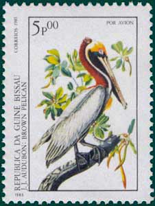 Guinea Bissau (1985) SG # 920, Sc # C-50,Brown Pelican (Pelecanus occidentalis)