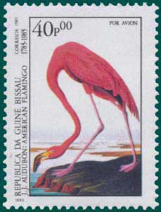 Guinea Bissau (1985) SG # 923, Sc # C-53,Greater Flamingo (Phoenicopterus ruber)