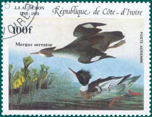 Ivory Coast (1985) SG # 839, Sc # C-93,Red-breasted Merganser (Mergus serrator)
