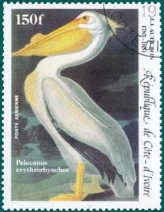 Ivory Coast (1985) SG # 840, Sc # C-94,American White Pelican (Pelecanus erythrorhynchos)