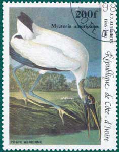 Ivory Coast (1985) SG # 841, Sc # C-95,Wood Stork (Mycteria americana)
