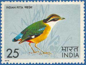 SG # 763 (1975), Indian Pitta (Pitta brachyura)