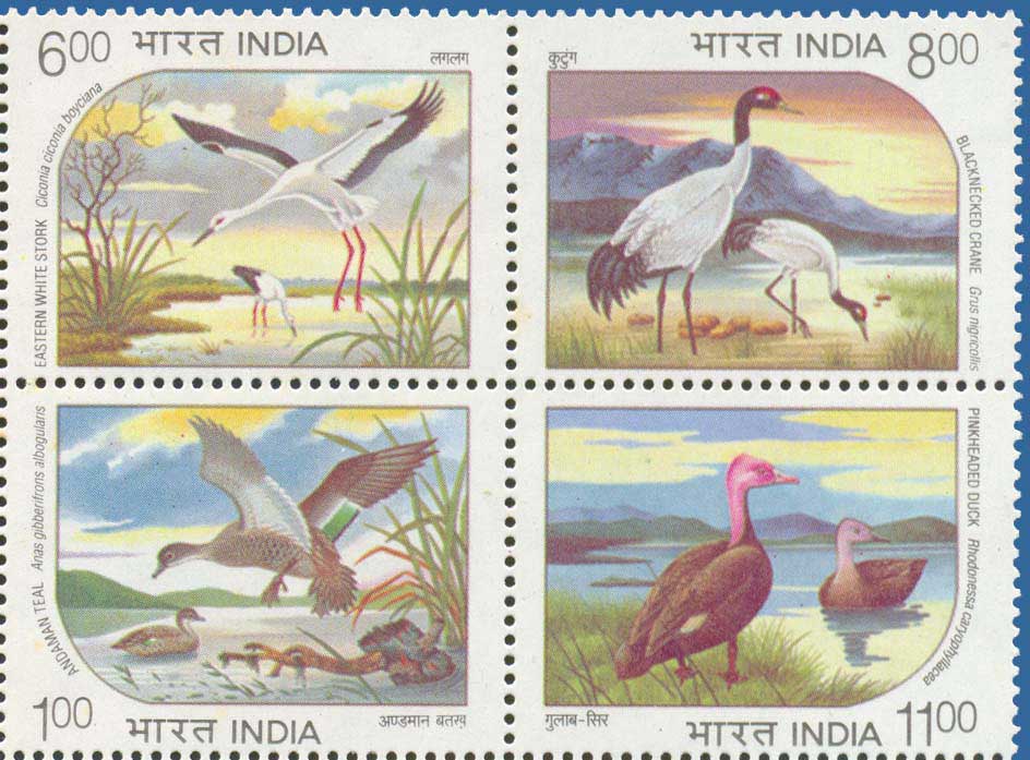 SG # 1603 - 1605 (1994) (Withdrawn), Oriental Stork (Ciconia boyciana), Black-necked Crane (Grus nigricollis), Andaman Teal (Anas albogularis), Pink Headed Duck (Rhodonessa caryophyllacea)