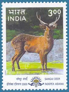SG # 1914, Sengai Deer