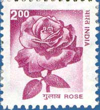 SG # 1925a, Rose