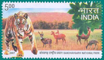 SG # 2408, Bandhavgarh National Park