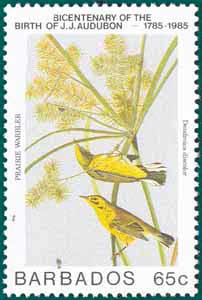 Barbados (1985), SG # 785, Sc # 666, Prairie Warbler(Dendroica discolor), Audubon Plate-362