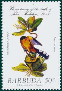 Barbuda (1985) SG # 784, Sc # 702, Mangrove Cuckoo (Coccyzus minor), Audubon Plate-231