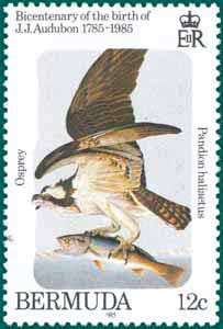 Audubon Plate-