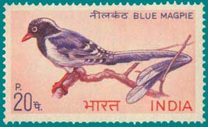SG # 578 (1968), Blue Magpie (Urocissa erythrorhyncha)