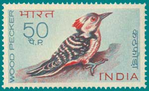 SG # 579 (1968), Brown-fronted Woodpecker (Dendrocopos auriceps)
