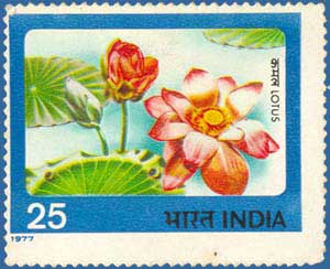 SG # 850 (1977), Lotus