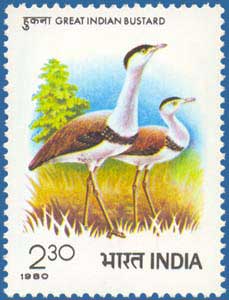 SG # 986 (1980), Indian Bustard (Ardeotis nigriceps)