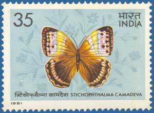 SG # 1019 Butterflies (1981) - Stichophthalma camadeva