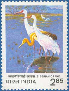 SG # 1076 (1983), Siberian Cranes (Grus leucogeranus)