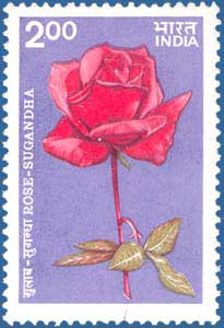 SG # 1142 (1984), Rose Sugandha