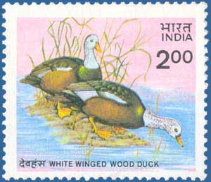 SG # 1159 (1985), White Winged Wood Duck (Cairina scutulata)