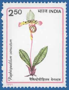 SG # 1471 (1991), Orchid - Paphiopedilum venustum