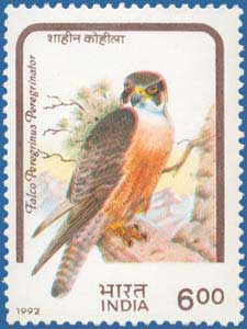 SG # 1526 (1992), Peregrine Falcon (Falco peregrinus)