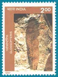 SG # 1732 (1997), Fossils - Glossopteris