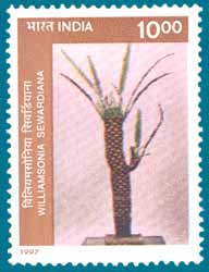 SG # 1734 (1997), Fossils - Williamsonia sewardiana