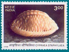 SG 1831 (1998), Cypraea staphylaea Linnaueus