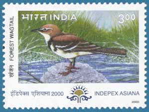 SG # 1936 (2000), Forest Wagtail (Dendronanthus indicus)
