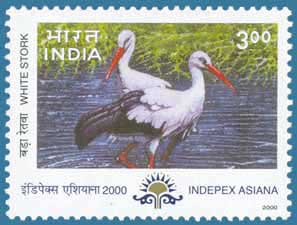 SG # 1937 (2000), White Stork (Ciconia ciconia)