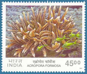 SG # 2011 (2001), Corals - Acropora formosa